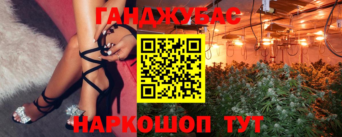 Канабис сатива Новодвинск
